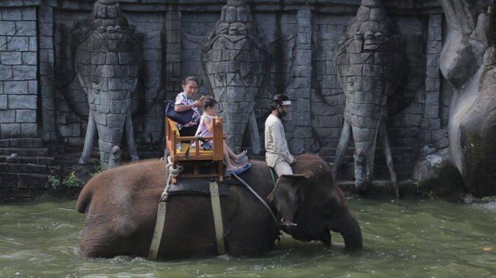 NAIK GAJAH - Pengunjung naik gajah saat menikmati suasana Bali Zoo, Gianyar, Selasa (14/7/2020). Bali Zoo memberikan harga promo di masa new normal.