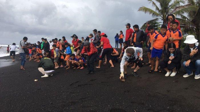 Pelepasan ratusan tukik di Pantai Saba, Blahbatuh, Gianyar, Bali, Kamis 17 Agustus 2023.