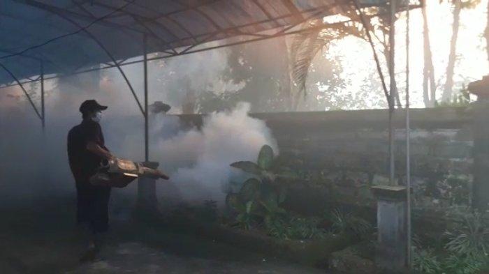 Pelaksanaan fogging di areal perkantoran.