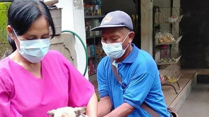 VAKSINASI - Petugas Distan Buleleng saat melakukan vaksinasi rabies terhadap anjing. Pihak Distan menegaskan vaksinasi rabies akan digenjot usai hari Raya Idul Fitri.