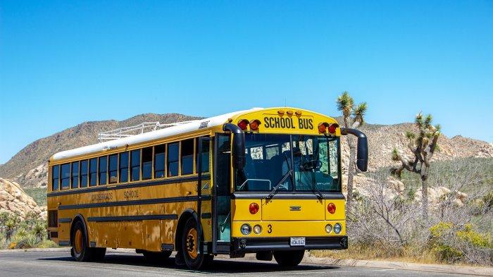 Karena study tour tujuan utamanya adalah edukasi yang tempat pelaksanaannya di luar sekolah. Disisi lain, juga bertujuan untuk menumbuhkan cinta terhadap daerah asalnya sendiri.