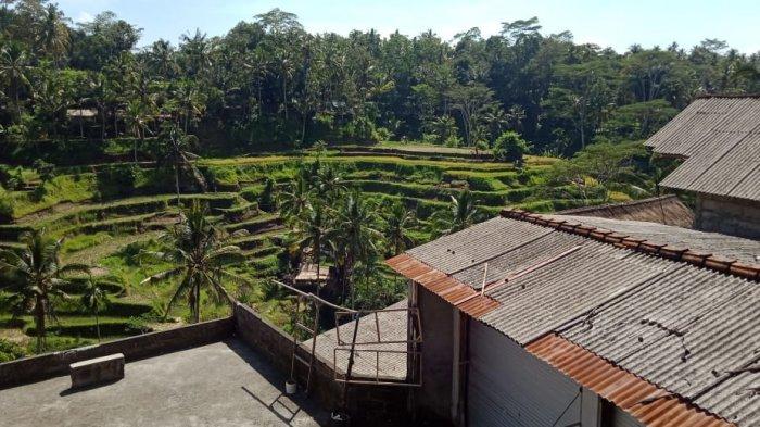 Sejumlah wisatawan menikmati objek wisata Cekingan, Tegalalang, Gianyar, Bali, beberapa waktu lalu.