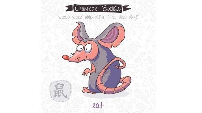 shio tikus