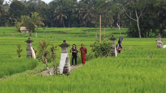 Subak Lauh Batu, subak terkecil di Keliki. Kini menjadi destinasi wisata andalan baru di Gianyar.