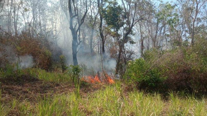 Petugas KPH Bali Timur melakukan penanganan kebakaran hutan dan lahan (karhutla) sekitar lereng Gunung Agung, Selasa (10/10/2023).