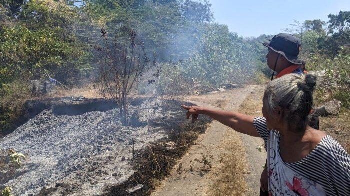 Warga panik saat terjadinya kebakaran lahan di eks galian C, tepatnya di wilayah Subak Penggoncangan, Desa Tangkas, Senin (2/10/2023).