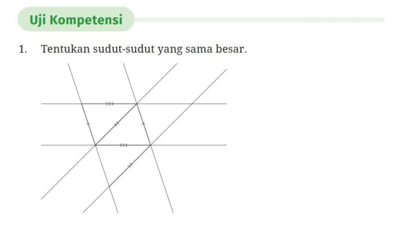 Kunci Jawaban Matematika Kelas 7 SMP Kurikulum Merdeka Halaman 182, Uji Kompetensi Bab 5