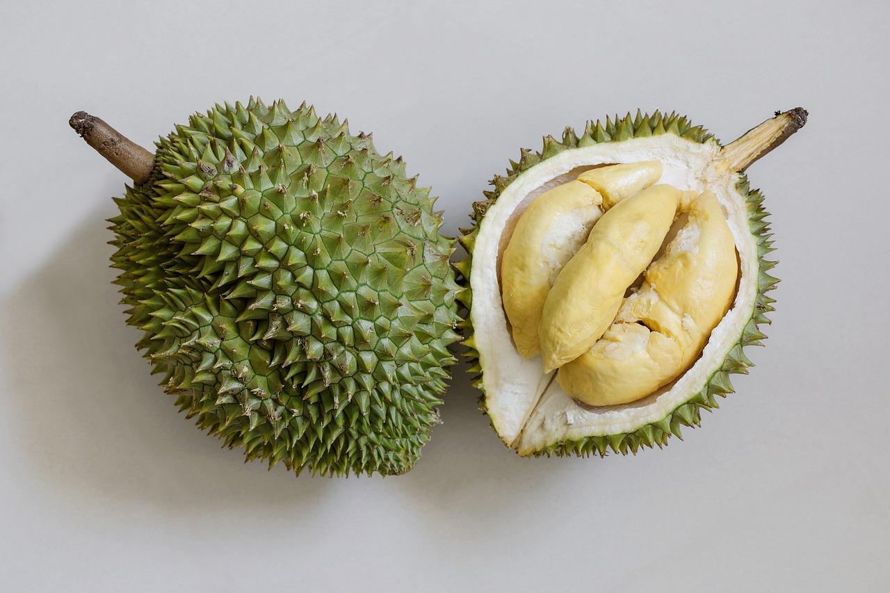 Ilustrasi Durian - 56 Arti Mimpi DURIAN, Berkaitan Dengan Rezeki Hingga Kabar Baik