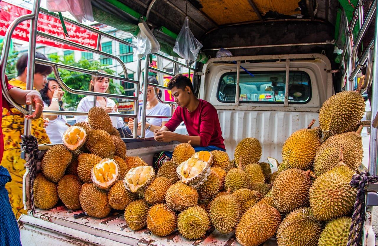 Ilustrasi Durian - 56 Arti Mimpi DURIAN, Berkaitan Dengan Rezeki Hingga Kabar Baik