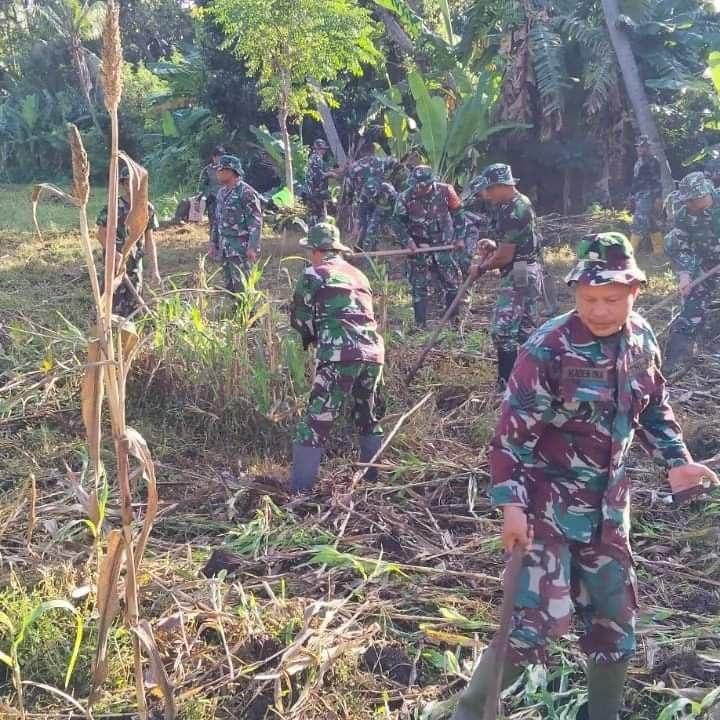Personel Kodim 1609/Buleleng saat membuka lahan tidur di Desa Ringdikit, Kecamatan Seririt. Jumat 5 Juli 2024 - Kodim Buleleng Inisiasi Pembukaan Lahan Tidur di Desa Ringdikit Seririt Untuk Ditanami Sorgum