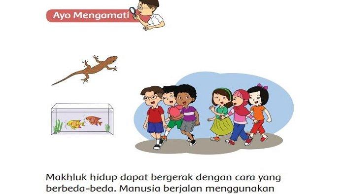 Ciri Ciri Makhluk Hidup Kunci Jawaban Tema 1 Kelas 3 Sd Mi Halaman