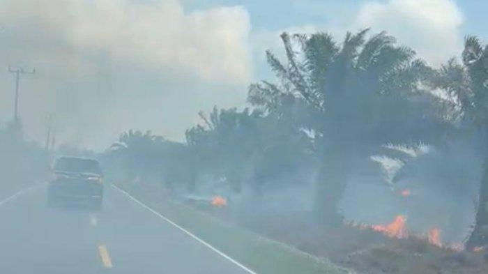 Kebakaran lahan di sekitar kawasan Desa Penyak, Koba, Bangka Tengah, Jumat (4/7/2023).