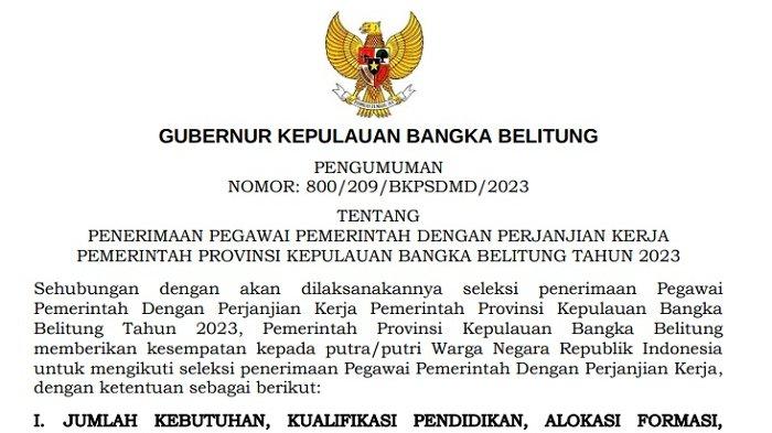 Pengumuman PPPK 2023 Provinsi Bangka Belitung, Lengkap dengan