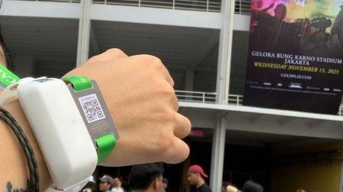 Xyloband.
