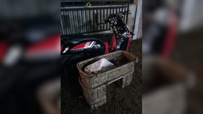 Sepeda motor dan keranjang yang diduga digunakan pelaku pencurian yang ditangkap warga di rumah Kades Terong pada Sabtu (30/3/2024).