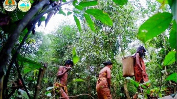 Taman Nasional Indonesia: Tantangan dan Harapan di Tengah Perubahan Iklim dan Pembangunan