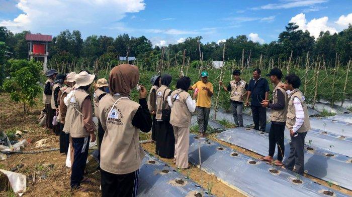 Mahasiswa KKN IAIN SAS dan Masyarakat Observasi Potensi Pertanian dan Perkebunan di Desa Pembaharuan