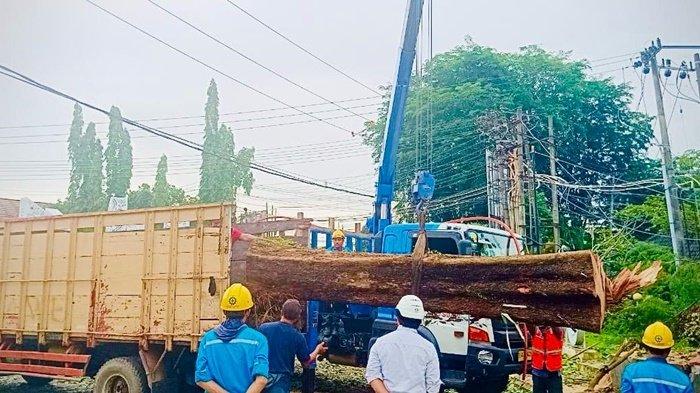 Crane PLN membantu menaikkan pohon tua yang di tebang oleh tim PLN dan Pemkot Pangkalpinang di lokasi SD Thresia Pangkalpinang