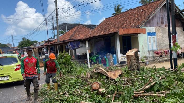 PEMANGKASAN DAHAN - DLH Bangka Selatan bekerja sama dengan PLN memangkas dahan-dahan yang berpotensi membahayakan di ruas Jalan Teladan, Kelurahan Teladan, Toboali, Bangka Selatan, Rabu (30/7/2025).