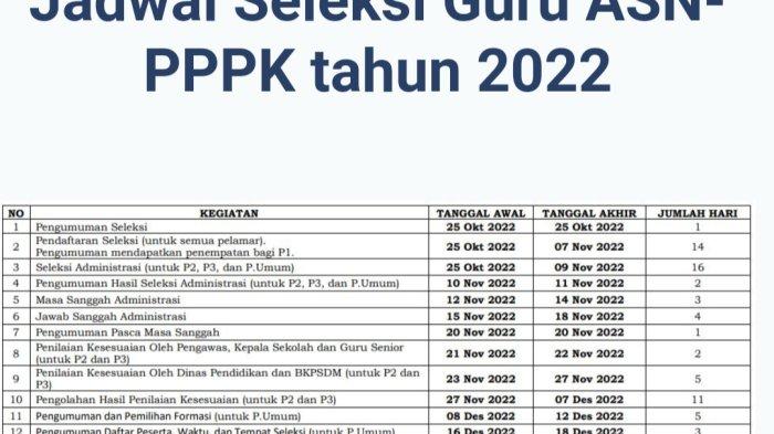 Jangan Keliru, Penuhi Syarat Ini Sebelum Mendaftar Seleksi PPPK Guru