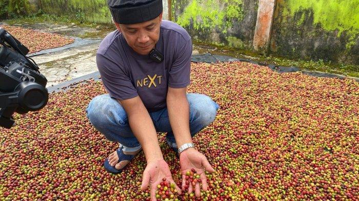 PENJEMURAN BIJI KOPI - Mardi memeriksa biji kopi yang sedang dalam proses penjemuran, di pekarangan rumahnya di Desa Petaling, Bangka, Jumat (16/5/2025).