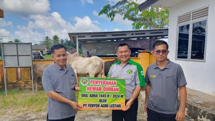 PT Fenyen Agro Lestari memberikan bantuan 2 ekor sapi kurban untuk Idul Adha 2024 sebagai bentuk wujud kepedulian sekaligus mempererat tali silaturahmi kepada masyarakat Desa Cit, Kabupaten Bangka.