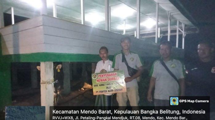 PT Fenyen Agro Lestari memberikan bantuan 1 sapi kurban sebagai bentuk kepedulian perusahaan kepada masyarakat Desa Kotawaringin untuk disembelih di Hari Raya Idul Adha 2024.