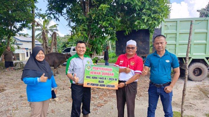 PT Fenyen Agro Lestari menunjukkan kepeduliannya dengan memberikan bantuan 1 ekor sapi kurban Idul Adha 2024, untuk masyarakat di Desa Mendo Kabupaten Bangka