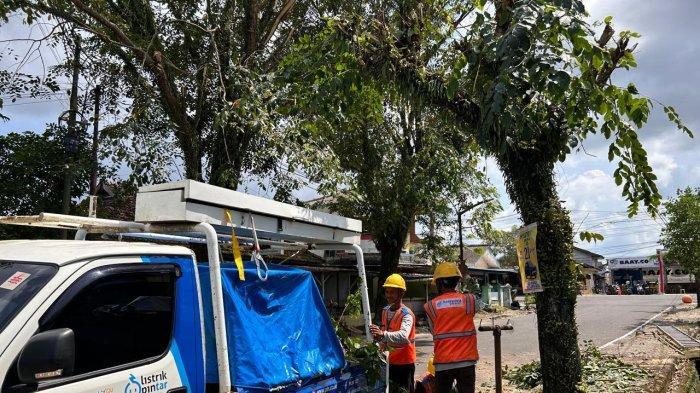 Petugas Right on Way (ROW) PLN melakukan pembersihan jalur jaringan 20kV untuk memastikan listrik tidak ada gangguan