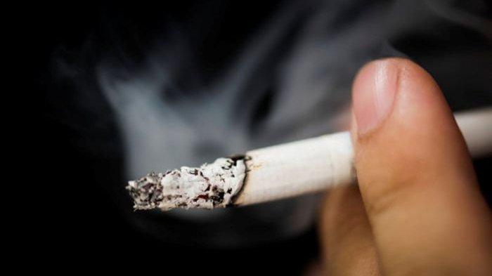 Harga Rokok Tembus Rp 40.100 Tahun Depan, Berikut Daftar Lengkapnya ...