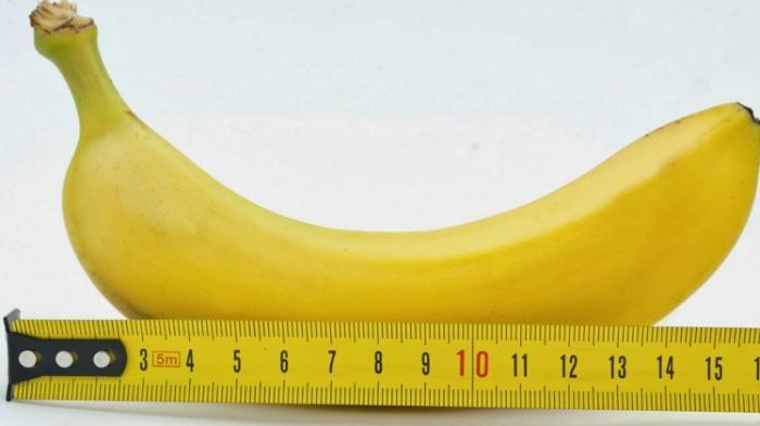 Terungkap, Ternyata Wanita Memilih Ukuran Penis Lebih Besar, Ini