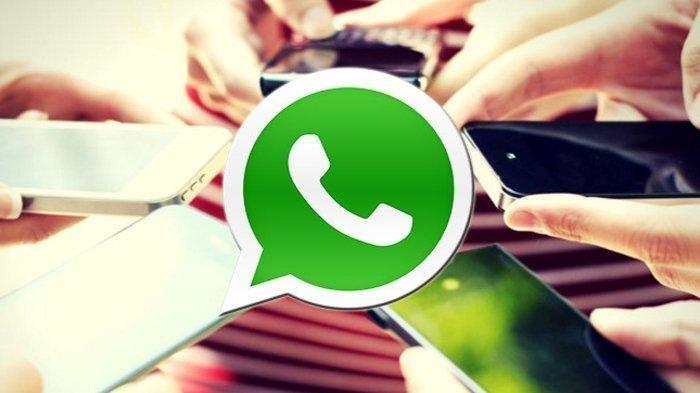 WhatsApp ERROR Tidak Bisa Kirim Gambar dan Stiker - Bangkapos.com