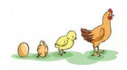 Jawab Soal Ciri-ciri Makhluk Hidup Mulai dari Makan Hingga Bergerak