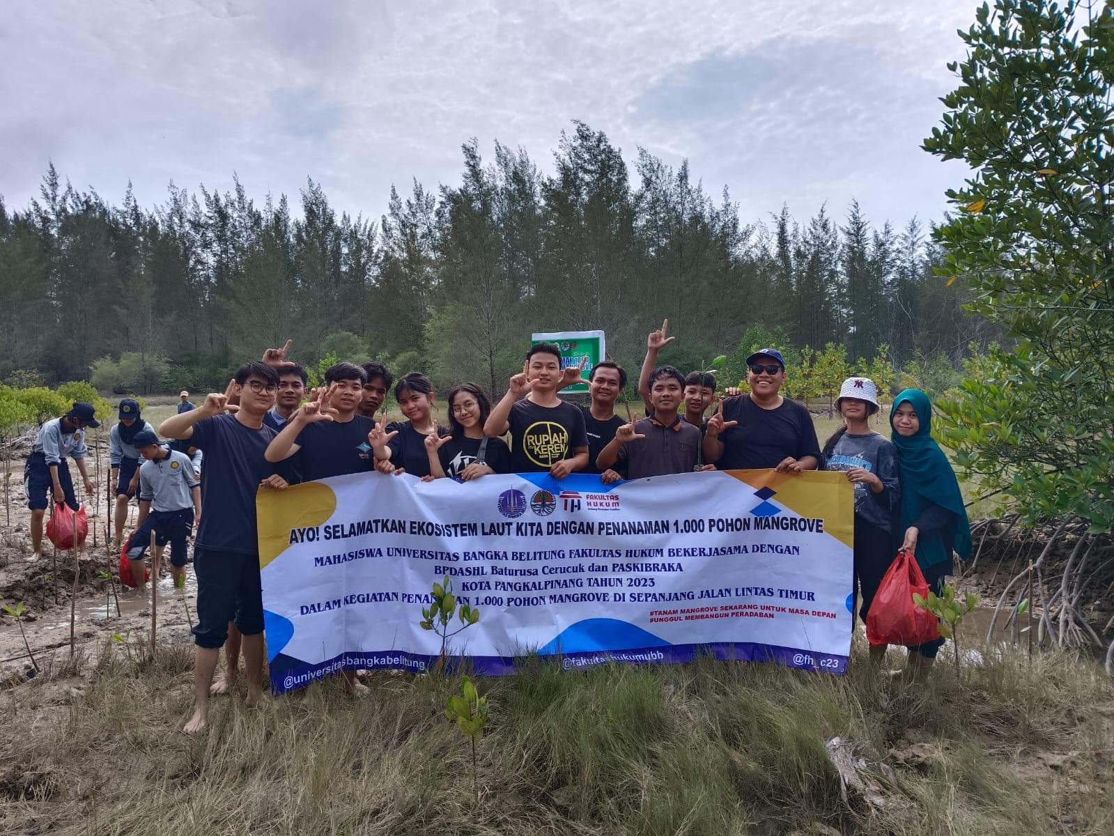 Kegiatan Penanaman Bibit Bakau oleh Mahasiswa Hukum UBB