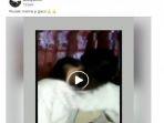 Detik-detik Video Siswa SMP Masuk Kamar Lewat Jendela, Siswi di ...