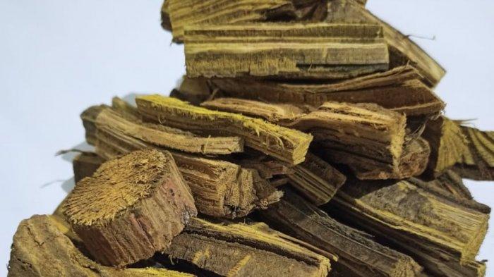 Akar Kuning Manfaat dan Khasiat untuk Kesehatan Tubuh Anda