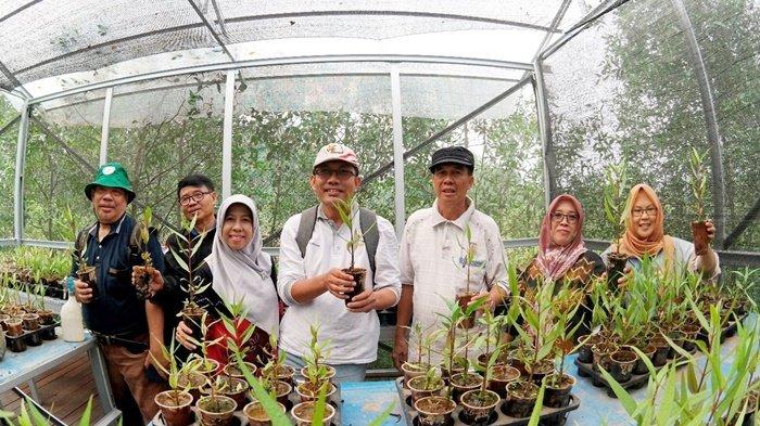 Anggota PEPSILI saat berada di habibat bekantan, yakni di Pulau Curiak, Kabupaten Barito Kuala, Kalimantan Selatan.