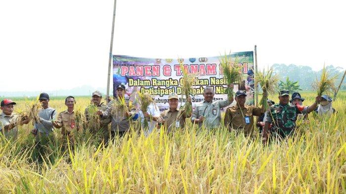 Baru-baru tadi panen raya dan Gerakan Nasional (Gernas) Percepatan Tanam kedua di Kelompok Bina Tani, Desa Hambuku Pasar, Kecamatan Sungai Pandan.