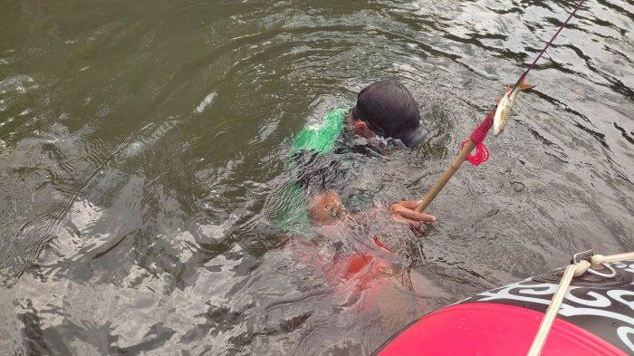 Berburu ikan dengan marikas di aliran Sungai Tapin.