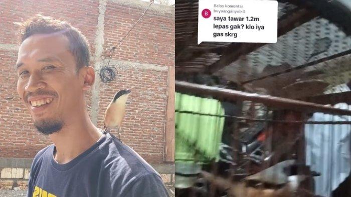 Burung cendet berhasil mencuri perhatian hingga mendapat tawaran untuk dijual dengan harga Rp 1,2 miliar.