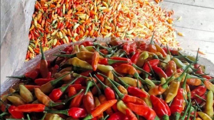 Ilustrasi - Harga cabai di Kabupaten Hulu Sungai Tengah dan Kotabaru melonjak