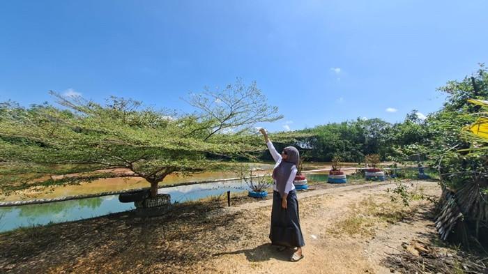 DANAU BIRU-Banyak tanaman di objek wisata Danau Biru yang membuat udara di lokasi ini terasa tetap sejuk meski terik.