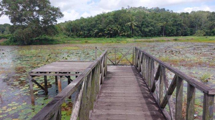 Danau alam atau guntung di Desa Guntungbesar lumayan luas dengan kedalamannya bervariasi.