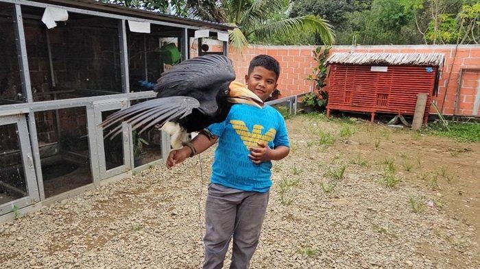 Dibuka sejak setahun lalu, mini zoo di Jalan Viral, Desa Halong, Kecamatan Halong, Balangan menjadi destinasi wisata edukasi baru bagi warga setempat.