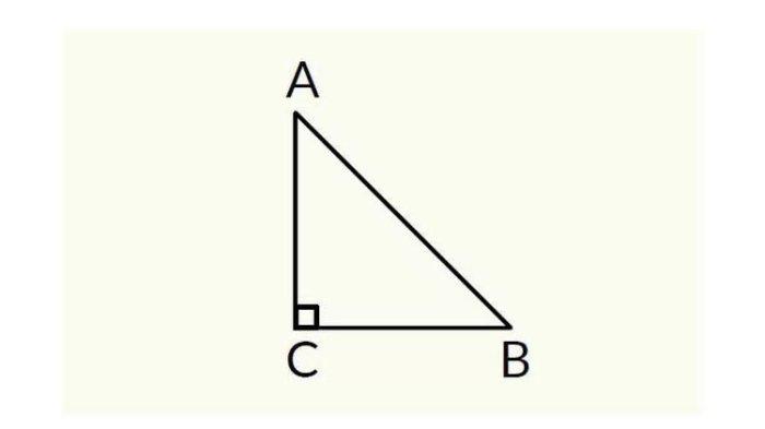 (Gambar soal nomor 4)