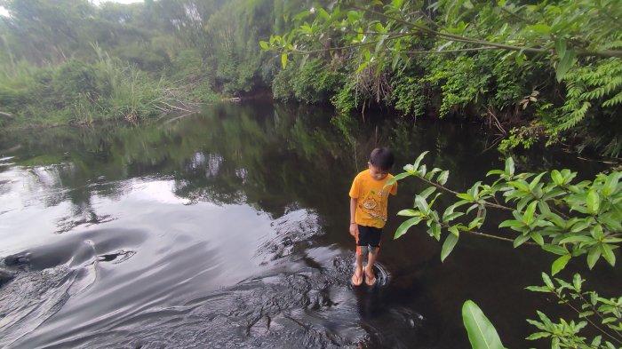 Hanampak, kawasan aliran Sungai Tapin yang berpotensi menjadi destinasi wisata di Desa Batu Ampar, Kecamatan Piani, Kabupaten Tapin, Kamis (29/8/2024).