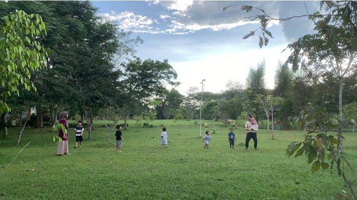 KEBUN-Selain taman hijau yang luas untuk berpiknik, tersedia juga wisata edukasi khususnya untuk anak-anak di Kebun Raya Banua.  Wisata Kalsel: Ada Keunggulan Tanaman, Banyak Wisata Edukasi di Kebun Raya Banua Banjarbaru. (Arsip 2025). 