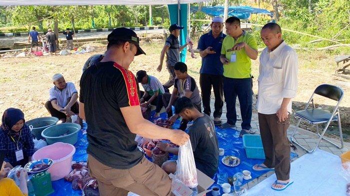 Kepala Kejaksaan Negeri (Kajari) Tapin, Adi Fakhruddin, saat menyaksikan prosesi pemotongan hewan kurban di halaman kantornya, Sabtu (1/7/2023).