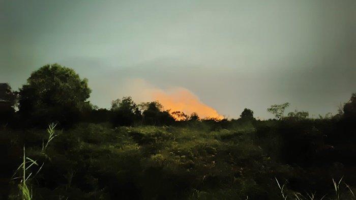 Api Karhutla di Handil Bakti Kabupaten Barito Kuala Kalsel, Damkar