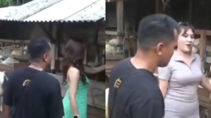 Pedagang kambing di Bantul, Yogyakarta, menggunakan SPG untuk memikat para pembeli